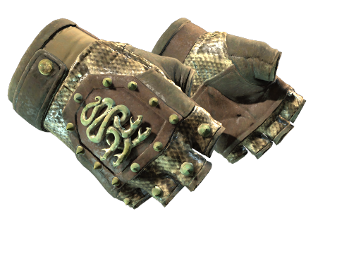★ Hydra Gloves | Rattler