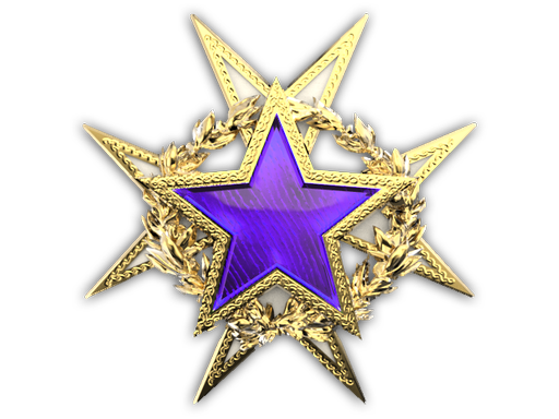 2015 Service Medal