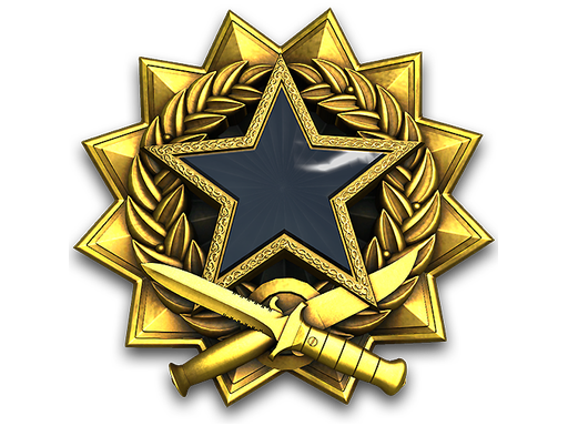 2017 Service Medal