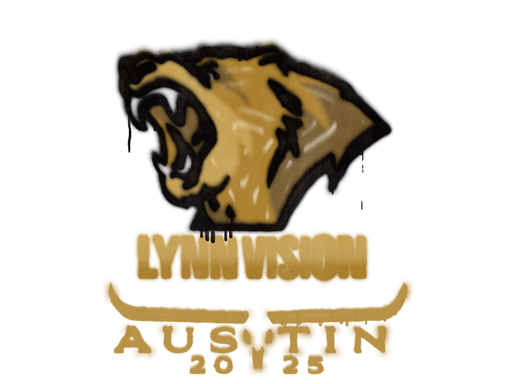 Sealed Graffiti | Lynn Vision | Austin 2025