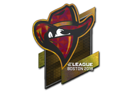 Renegades (Holo) | Boston 2018