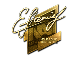 flamie (Gold) | Boston 2018