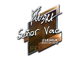 flusha (Foil) | Boston 2018