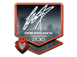 fox (Foil) | Cluj-Napoca 2015