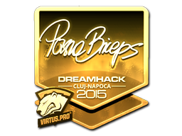 Sticker | pashaBiceps (Gold) | Cluj-Napoca 2015