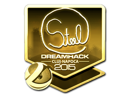 Sticker | steel (Gold) | Cluj-Napoca 2015