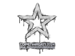 Sealed Graffiti | Complexity Gaming | Copenhagen 2024