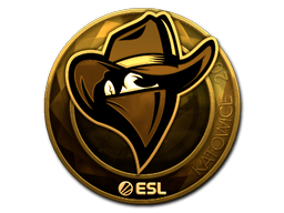 Sticker | Renegades (Gold) | Katowice 2019
