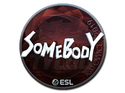somebody (Foil) | Katowice 2019