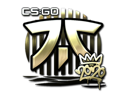 Fnatic (Gold) | 2020 RMR
