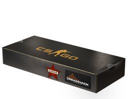 DreamHack 2014 Cache Package