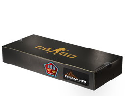 DreamHack 2014 Mirage Package